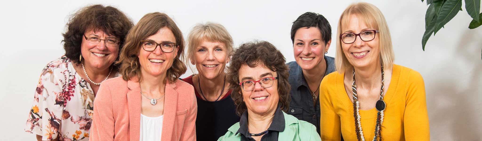 Das SHB Team